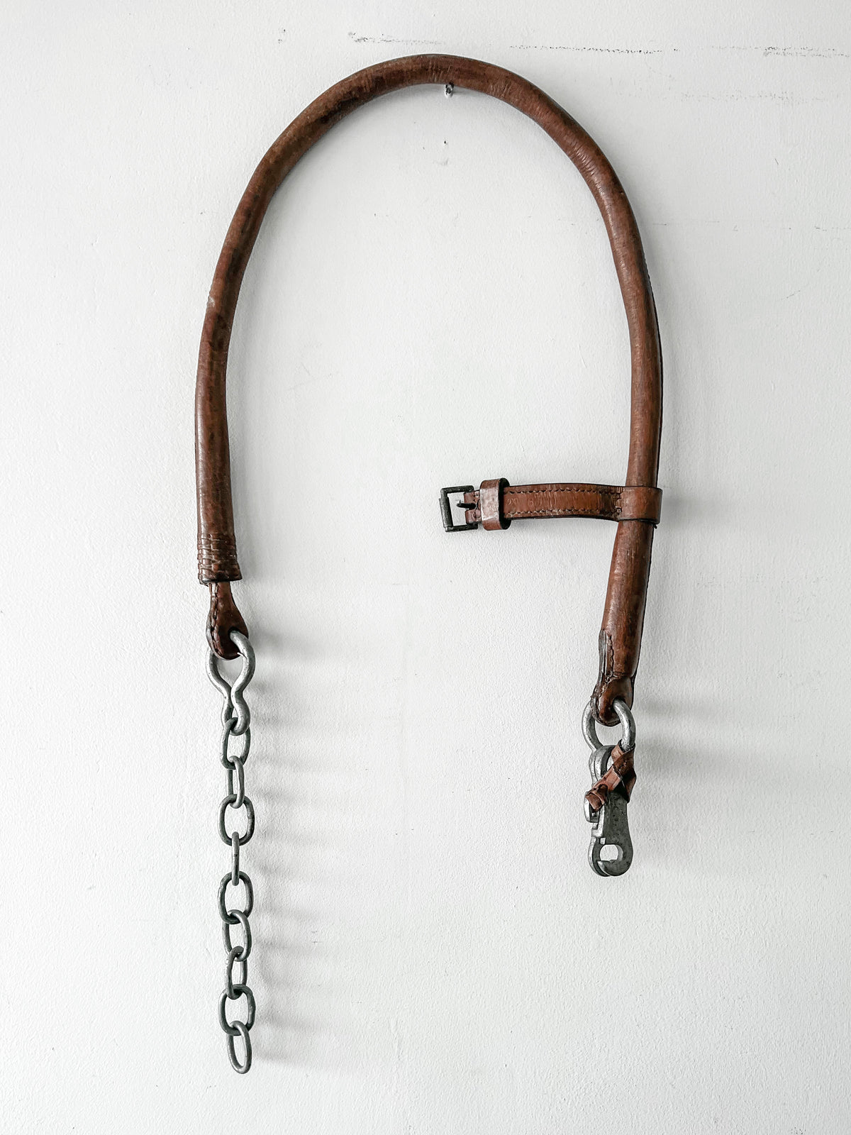 Vintage Horse Tack with Leather Canteen Lifestyle & Design